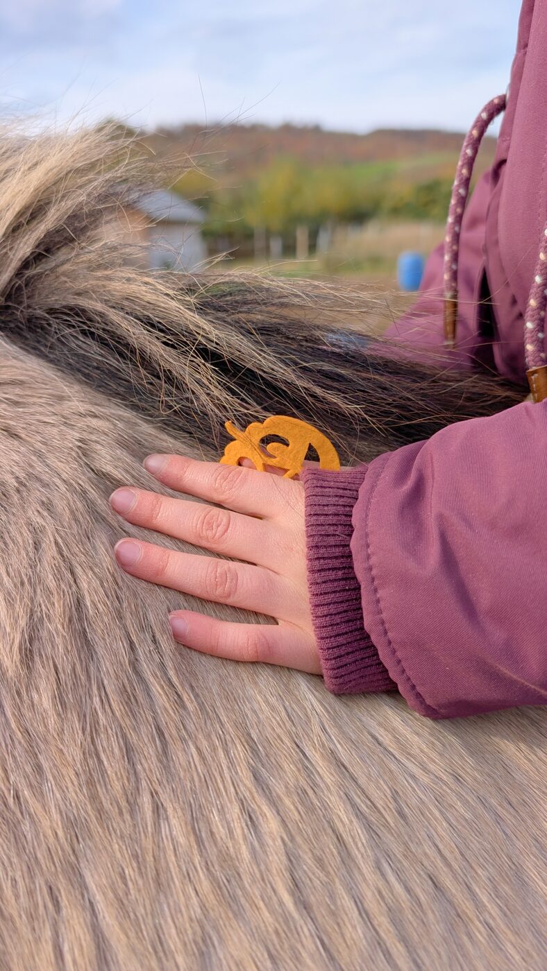 Hand streichelt die Mähne eines Ponys